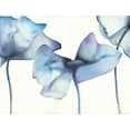 thumbnail image 3 of Hendrick, Cathy 14x12 Black Modern Framed Museum Art Print Titled - Blue Poppy I, 3 of 5