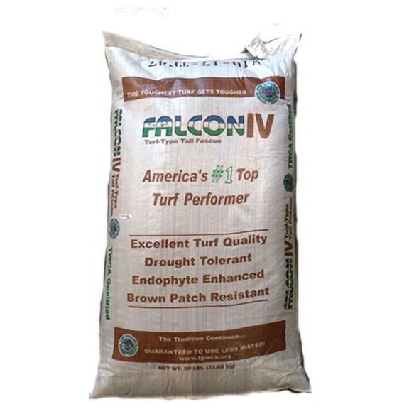 Falcon IV Turf Type Tall Fescue - 25 lbs.