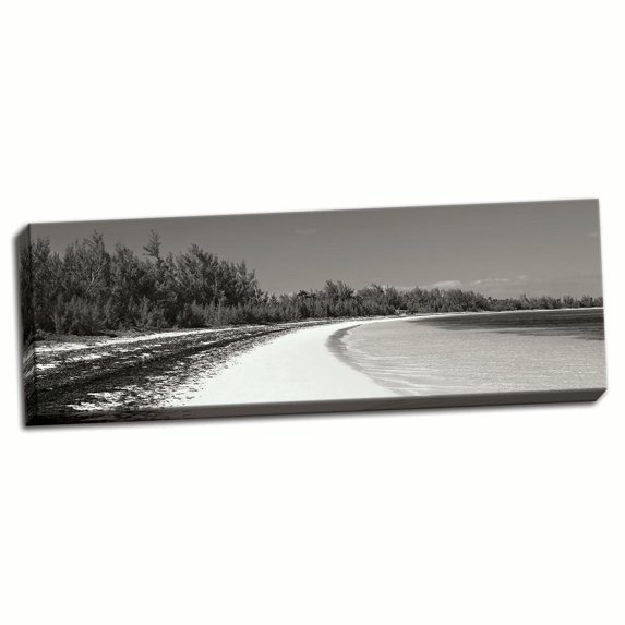 Gango Home Decor Winding Bay II BW Panel by Larry Malvin (Ready to Hang); One 36x12in Hand-Stretched Canvas