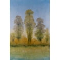 thumbnail image 2 of OToole, Tim 13x18 White Modern Wood Framed Museum Art Print Titled - Gilded Trees I, 2 of 4