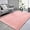 Light Pink, variant on Fluffy Area Rug- Shag Area Rug for Living Room, Shaggy Large Indoor Thick Living Room Carpet with Non-Slip Backing, Soft Plush Fuzzy Carpet for Bedroom,5x8,Black