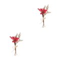 thumbnail image 2 of Bewildely Ramo de flores secas naturales, ecológico, sostenible y elegante, de bajo mantenimiento Type5 NO5, 2 of 6