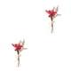 thumbnail image 4 of Cateissary Durabilidad y encanto duraderos en ramo de flores secas naturales flor en relieve elegante HS-21, 4 of 6