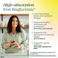 thumbnail image 4 of MegaFood Blood Builder Iron Supplement for Women, Vitamin C & B12, Folic Acid, Vegan, Non-GMO, Improves Energy Levels, 30 Tablets, 30 Servings, 4 of 9
