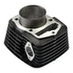 thumbnail image 1 of Cilindro De Motor Negro Para Rt250 Sport 2020 De 2024 Italika Original, 1 of 3