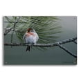 thumbnail image 1 of Epic Art 'Red Poll' by Ron Parker, Acrylic Glass Wall Art, 36"x24", 1 of 8