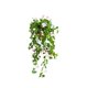 thumbnail image 1 of Plantas colgantes artificiales en maceta, vegetación artificial for oficina, sala de estar, baño, interior y exterior., 1 of 3