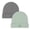 Sage/Pewter, variant on Parker Baby Co. 2 Pack Baby Beanie - Sage/Pewter