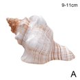 thumbnail image 1 of 9-17cm Brown White Natural Oversized Snail Conch Ornaments Decorations Office Collection Fish Souvenir F2R5, 1 of 9