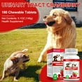 thumbnail image 2 of Oimmal Cranberry Urinary for Dog, Urinary Tract Infection Tre_atm en_t Chewable Tablets for Dog | Natural Cranberry, Kidney Support Health Supplement 180*2 Chewable Tablets, 2 of 10