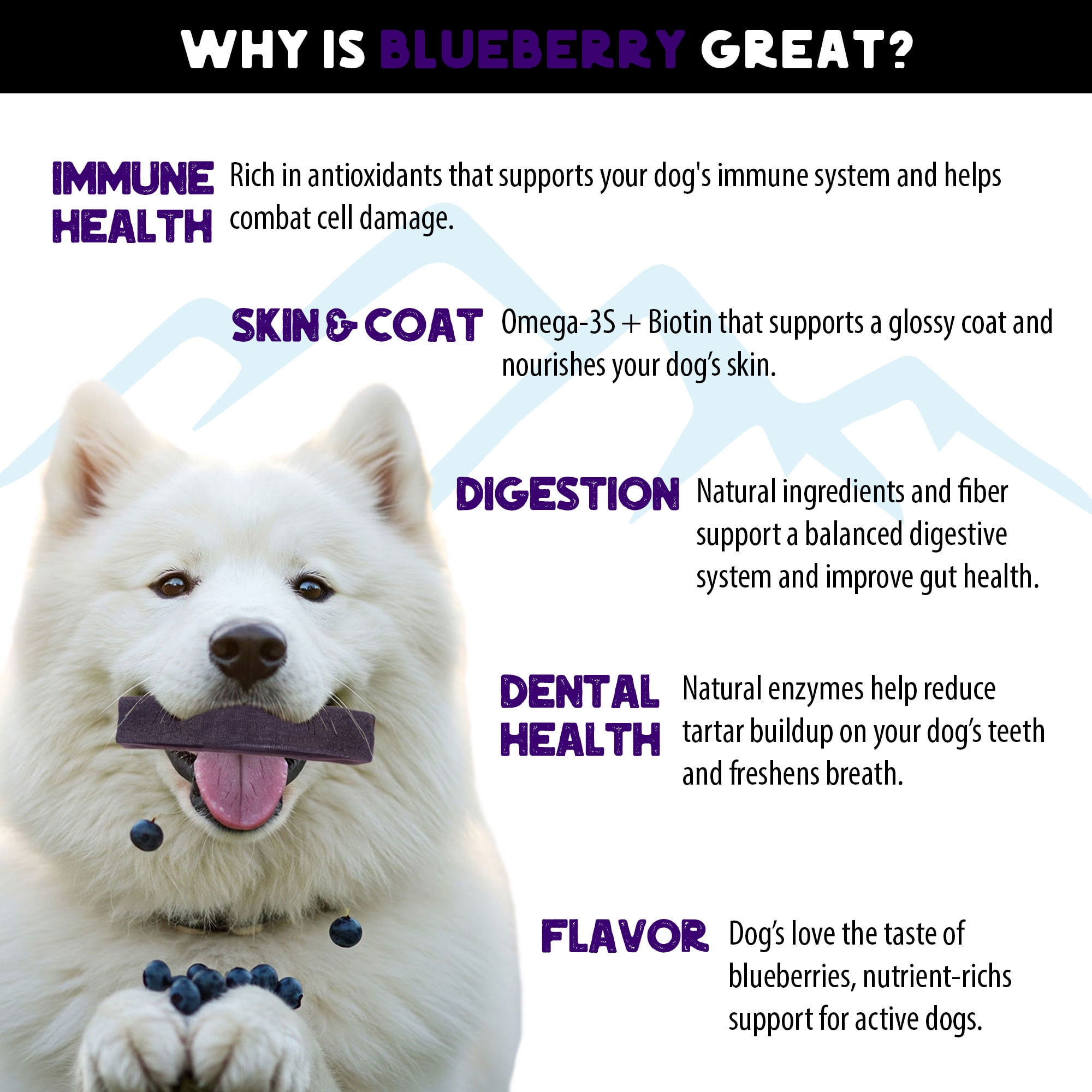 Texas Pet Company Global Collection Blueberry Flavor Yak Cheese Chew Treats for Dogs, Large Bag (4 Pack)