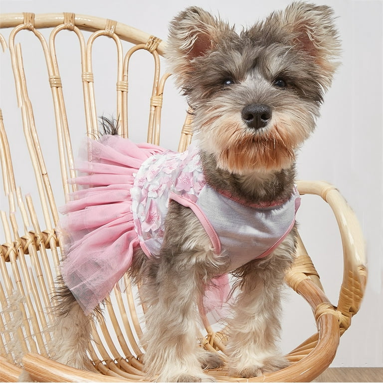 Clothes for 2 lb dog online