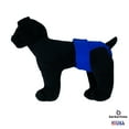 thumbnail image 2 of Barkertime Royal Blue Washable Dog Diaper - Made in USA, 2 of 6