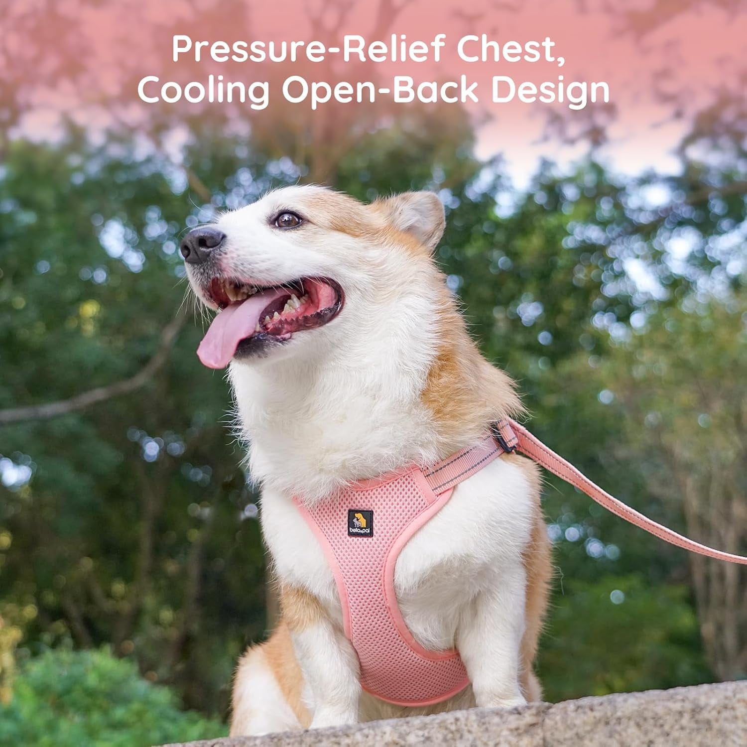BELLA & PAL Dog Harness for Medium Dogs, Adjustable Reflective No Pull Step-in Dog Vest, Breathable Soft Mesh Harness and Leash Set for Small Medium Dogs, Coral Pink, XS