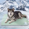 thumbnail image 3 of Deago Summer Dog Cooling Mat, Washable Ice Silk Self Cool Pad for Small Medium Large Dogs and Cats, Pet Sleeping Pad for Crate, Bed, Indoor & Outdoor Floor, Car Seats, 3 of 9