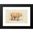 thumbnail image 2 of Charles Hamilton Smith 14x11 Black Modern Framed Museum Art Print Titled - The Brown Bear (1837), 2 of 5
