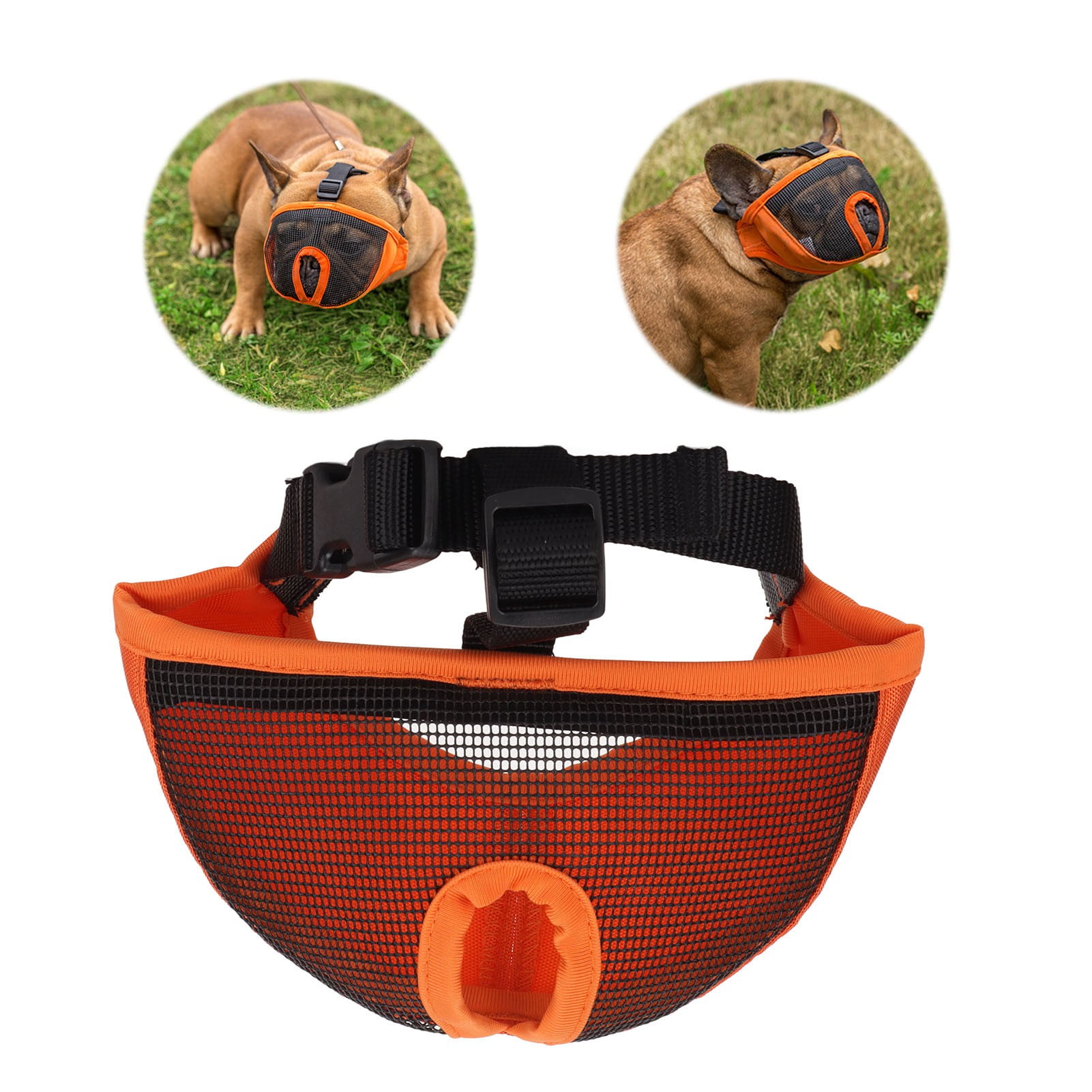 Dog muzzle walmart in store sales