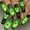 B, variant on Halloween Coffin Resin Press On Nails Full Cover Fake False Stick On Nails, Reusable Artificial Nail Tips Luminous Pumpkin Spider Web Gradient Spooky Design for Halloween Party DIY Manicure 24 Pcs