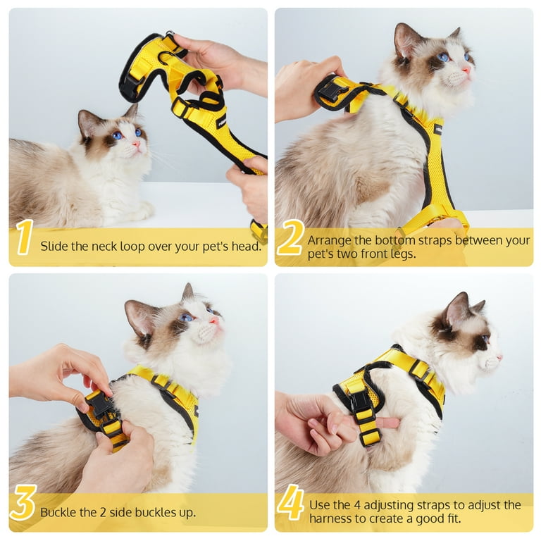 Harness for shop 3 legged cat