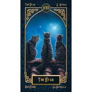 Tarot Familiars, (Hardcover)