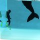 thumbnail image 4 of Decorativa Ballena Marina Cubo Animal Del Océano Resina 5cm La Habitación, 4 of 9