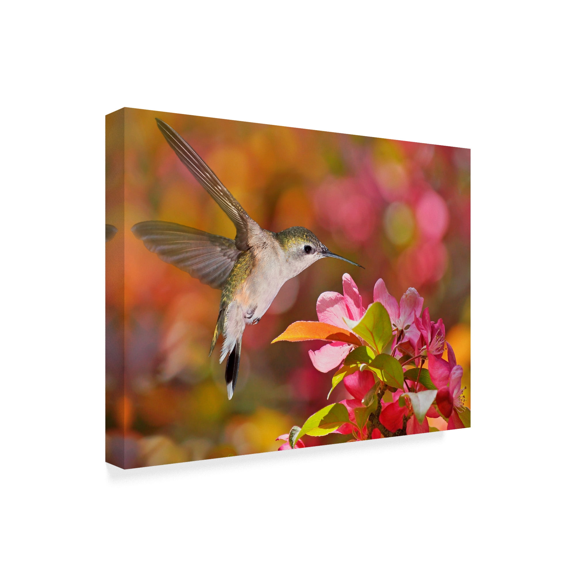 Trademark Fine Art 'The Flower Dance IX' Canvas Art by Leda Robertson