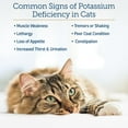 thumbnail image 4 of Rx Vitamins Amino B+K - Cat Vitamin B & Potassium Supplement for Cats - with Amino Acids Taurine & Lysine - Aids in Cat Kidney Support & Immune Support for Cats - Liver & Bacon 4oz, 4 of 8