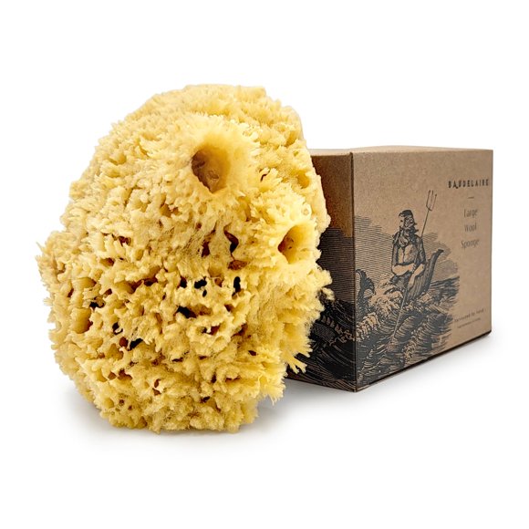 Esponja de lana marina de Baudelaire 5.5"" - Esponjas marinas naturales para bañarse - Esponja marina de baño para ducha - Esponja marina natural Loofah | Durable | Esponjas naturales sostenibles y re