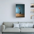 thumbnail image 2 of Canvas Wall Art - Luiz Laercio 'The Blue' Wall Art for Living Room, Bedroom, or Office D?cor by Trademark Fine Art - 30 x 47 Inches, 2 of 4