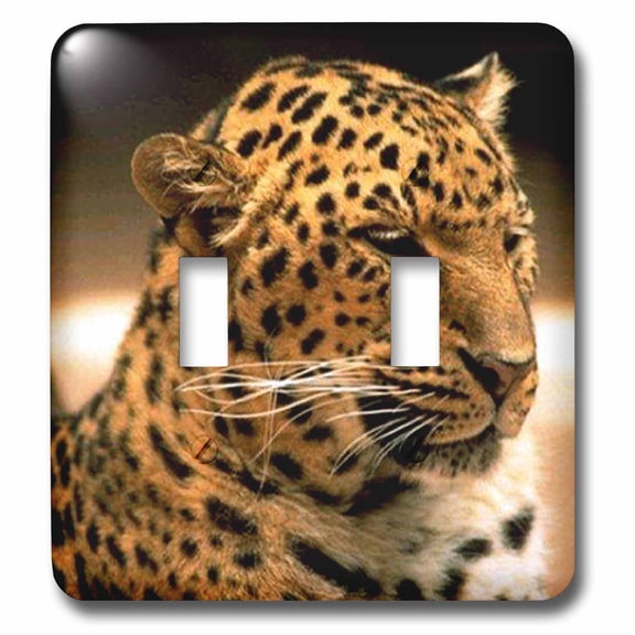 3dRose, Leopard, double toggle switch