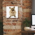 thumbnail image 5 of Epic Graffiti 'Curious Mouse' by Kim Curinga, Canvas Wall Art, 12"x12", 5 of 8