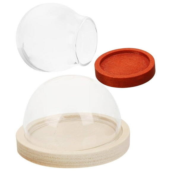 Glass Dome Clear Plant Terrarium Display Cabinet Flower Aquarium Globe Household