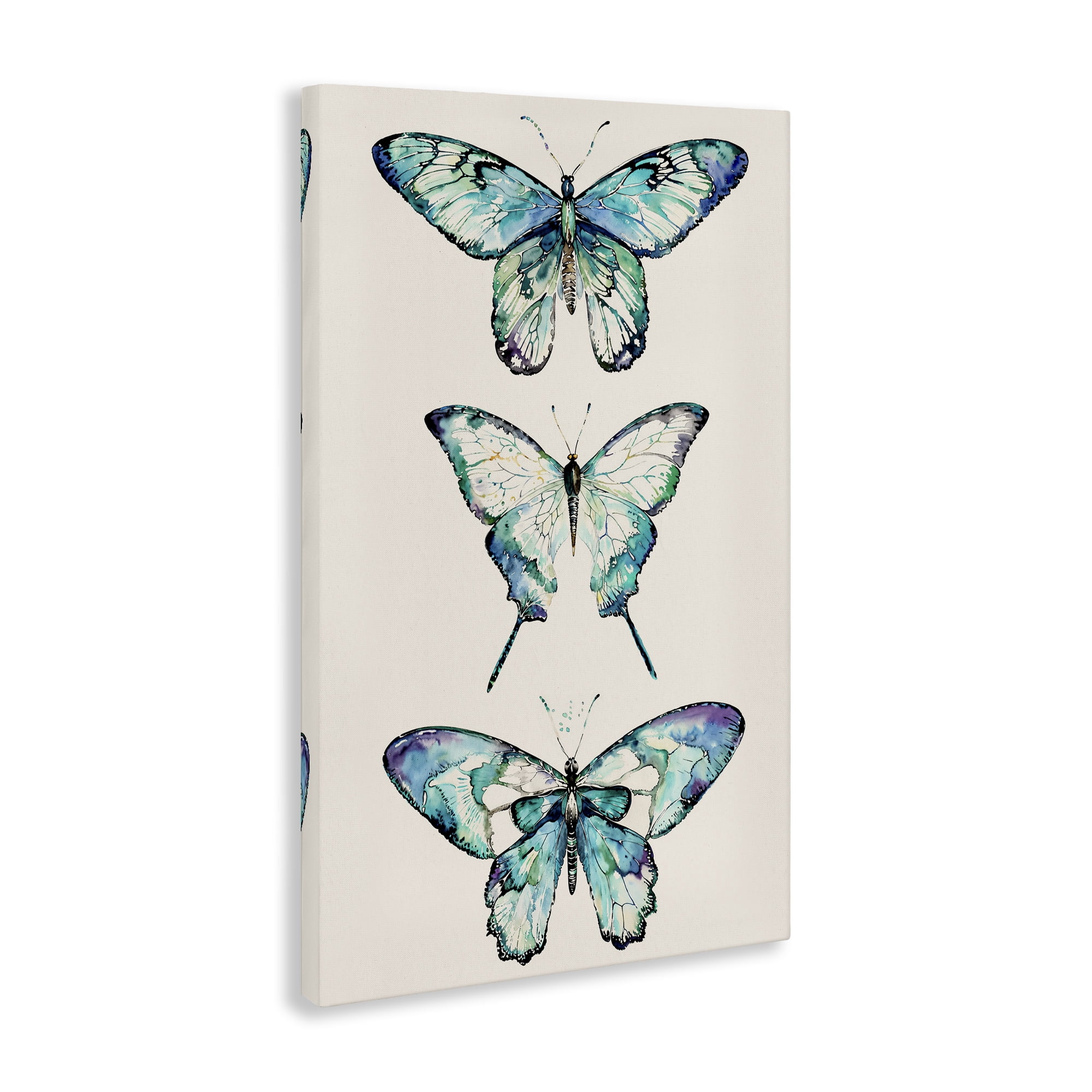 Stupell Industries Classic Butterfly Specimens Insects Painting Wrapped Canvas Art Print Wall Art, 20 x 30