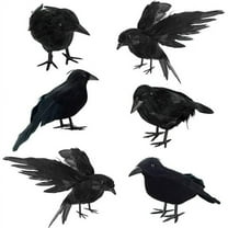 Susenc 6 Pcs Halloween Black Crows Feathered Crows Realistic Looking Ravens Large Handmade Black Crow for Halloween Decoration Party Supplies