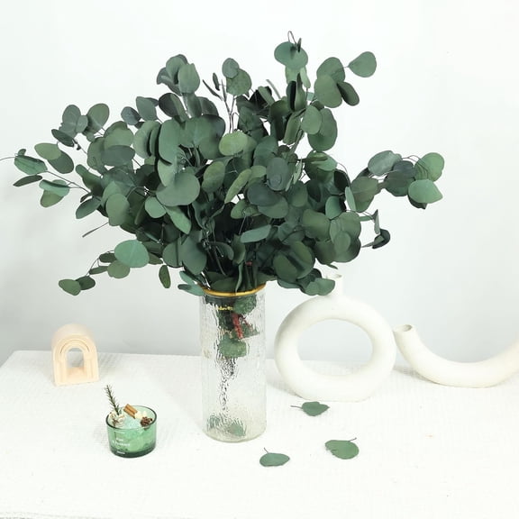 30 Pcs Real Dried Eucalyptus Stems, 17" Preserved Silver Leaves | Dollar Eucalyptus, Fresh, For Shower, Wedding Home Party Vase Filler, Greenery Branches, DIY Craft