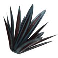 thumbnail image 3 of Inteprter 9 piezas de hojas de DIY planta de arte del hierro escultura decorativa estatua hoja favores de fiesta para jardín accesorios de estacas Decoración del hogar color del hielo marino Inteprter HA004436-04, 3 of 6