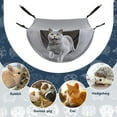 thumbnail image 5 of Pet Hammocks for Cats, Soft Foldable Hanging Cat Bed with Removable Mat, Gray/Beige/Coffee, 35x25x18cm, Easy to Install & Clean, Cozy & Stylish Pet Furniture for Indoor Cats, 5 of 7