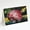 Vegetables - Onion One-Yun, variant on Vegetables - Tomatoes Slice It Up Greeting Cards Pack of 8 7 in x 5 in