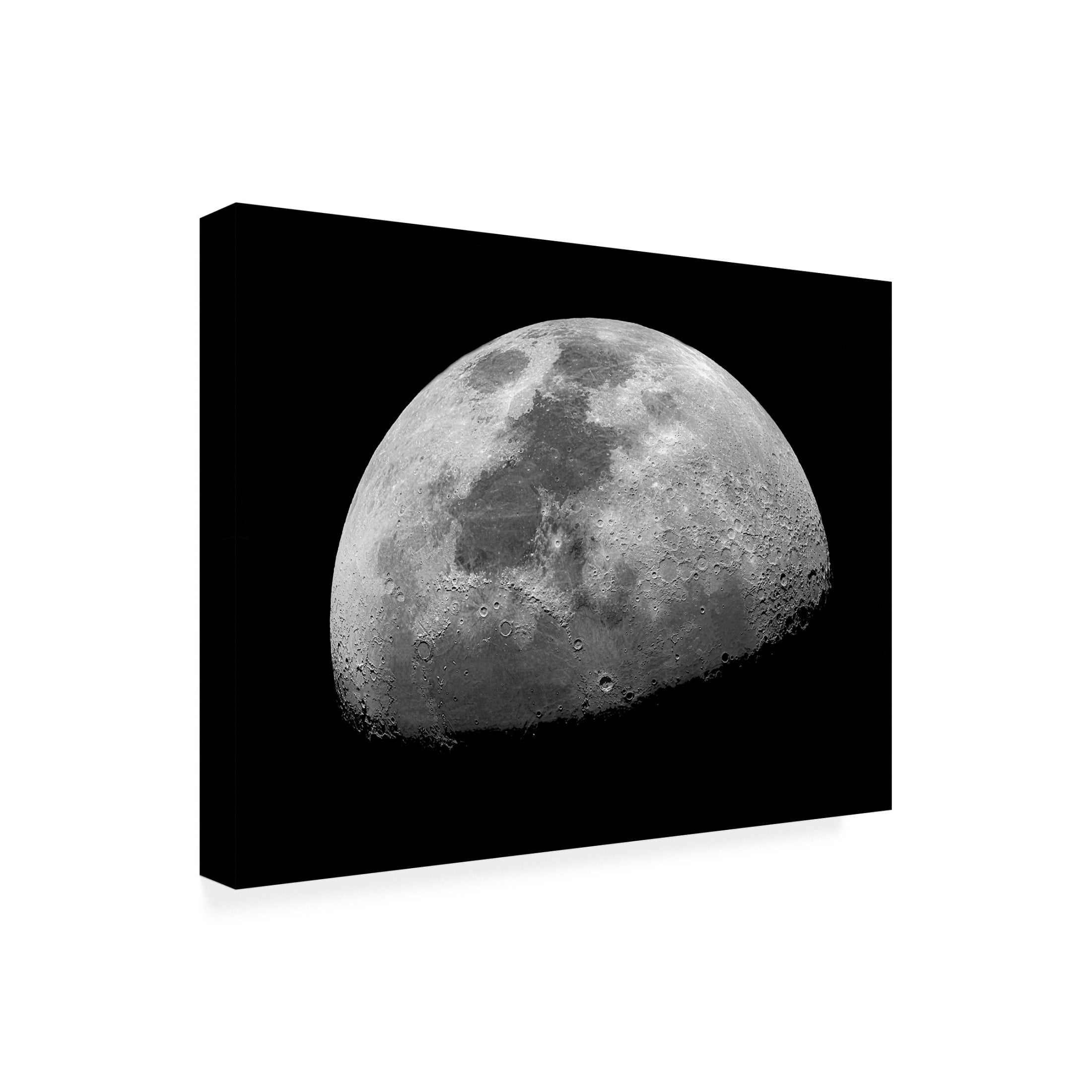 Trademark Fine Art Mainak Chakraborty Oh Look At The Moon, Shes Shining Up There Canvas Wall Art