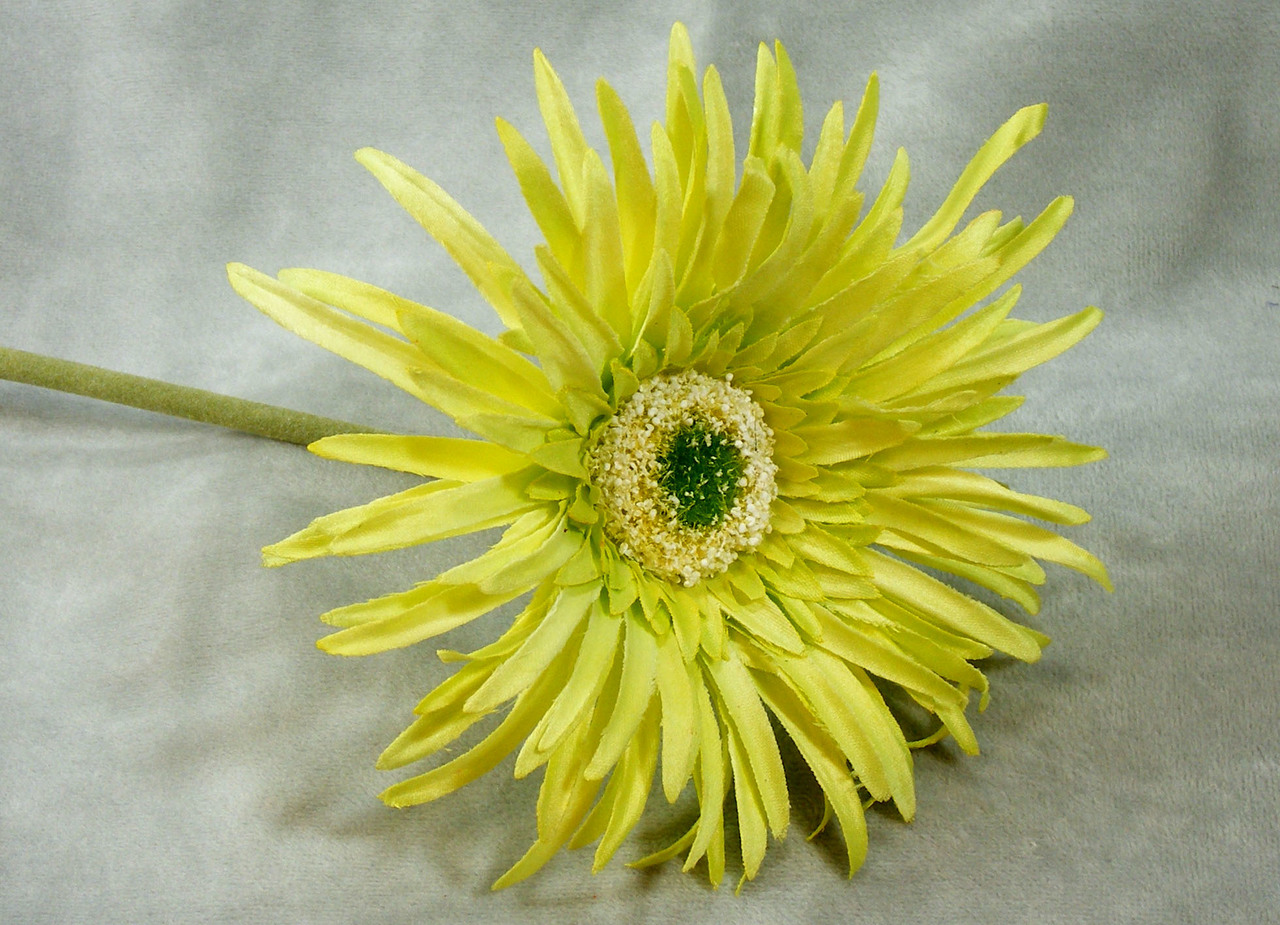 3 Pcs, 25 Inch Long Artificial Spider Daisy Stem Addition To Spring