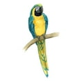thumbnail image 3 of Popp, Grace 9x14 Black Modern Framed Museum Art Print Titled - Teal Macaw II, 3 of 5