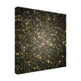 thumbnail image 4 of Print Collection 'A Celestial Snow Globe of Stars' Canvas Art, 4 of 4