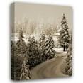 thumbnail image 1 of Vitaly Geyman 24x32 Gallery Wrapped Canvas Wall Art Titled - Mt. Ashland Rd II, 1 of 4