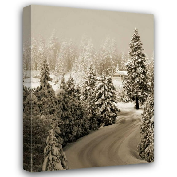 Vitaly Geyman 24x32 Gallery Wrapped Canvas Wall Art Titled - Mt. Ashland Rd II