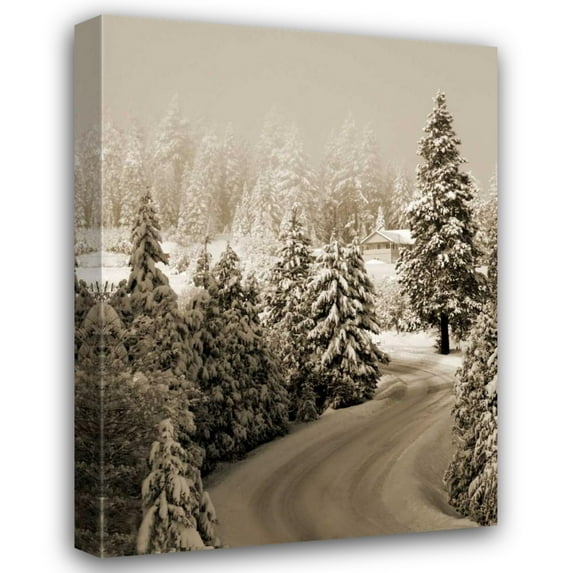 Vitaly Geyman 24x32 Gallery Wrapped Canvas Wall Art Titled - Mt. Ashland Rd II