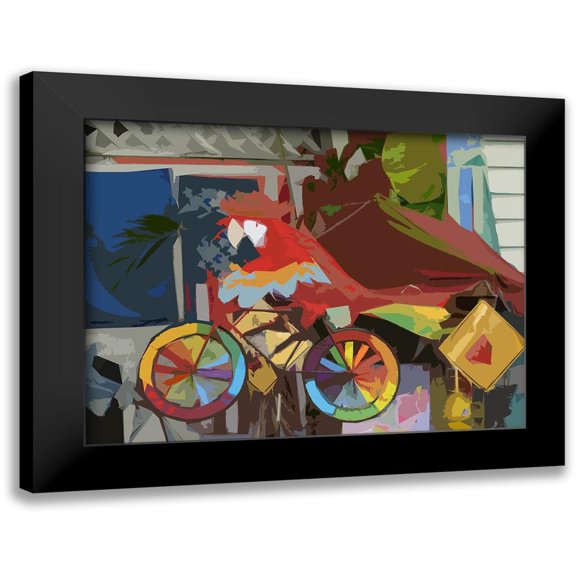Mack 14x12 Black Modern Framed Museum Art Print Titled - Key West Parrot