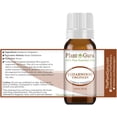 thumbnail image 2 of Cedarwood (Virginia) Essential Oil 10 ml. 100% Pure Natural Undiluted Therapeutic Grade For Skin, Body and Hair Growth. Great For Aromatherapy Diffuser And DIY Soap Making, 2 of 5