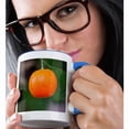 thumbnail image 2 of 3drose, Photo of an Orange Tangerine or Mandarin Fruit on a Tree, 11oz Two-tone Blue Mug, 2 of 6