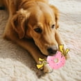 thumbnail image 3 of Durable Latex Dog Squeaky Donut Chew Toy for Puppies Interactive and Teething, 3 of 4