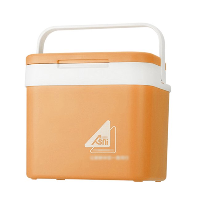 Refrigerador de coche portátil de 10L Cubo de hielo Mini refrigerador y calentador Nevera de picnic para el cuidado de la piel Latas de refrigerios Hogar y viajes Abanopi Refrigerador de coche